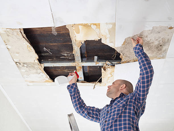 Best Residential Mold Inspection & Testing  in Pilot Point, TX